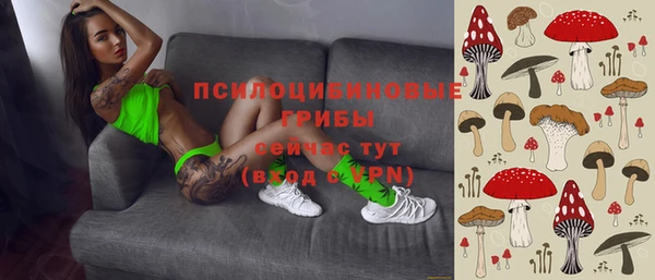 мяу мяу мука Арсеньев