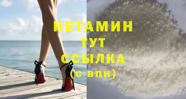трава Аркадак