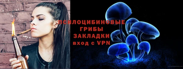 мяу мяу мука Арсеньев