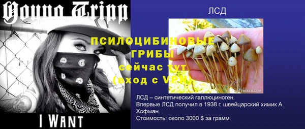 мяу мяу мука Арсеньев