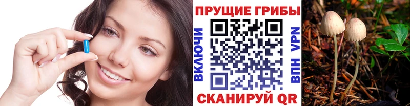 Псилоцибиновые грибы мицелий  дарнет шоп  Семилуки 